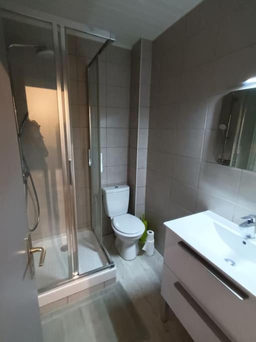 Appartement Duplex Avec Garage Annecy Centre Et Lac Kültér fotó